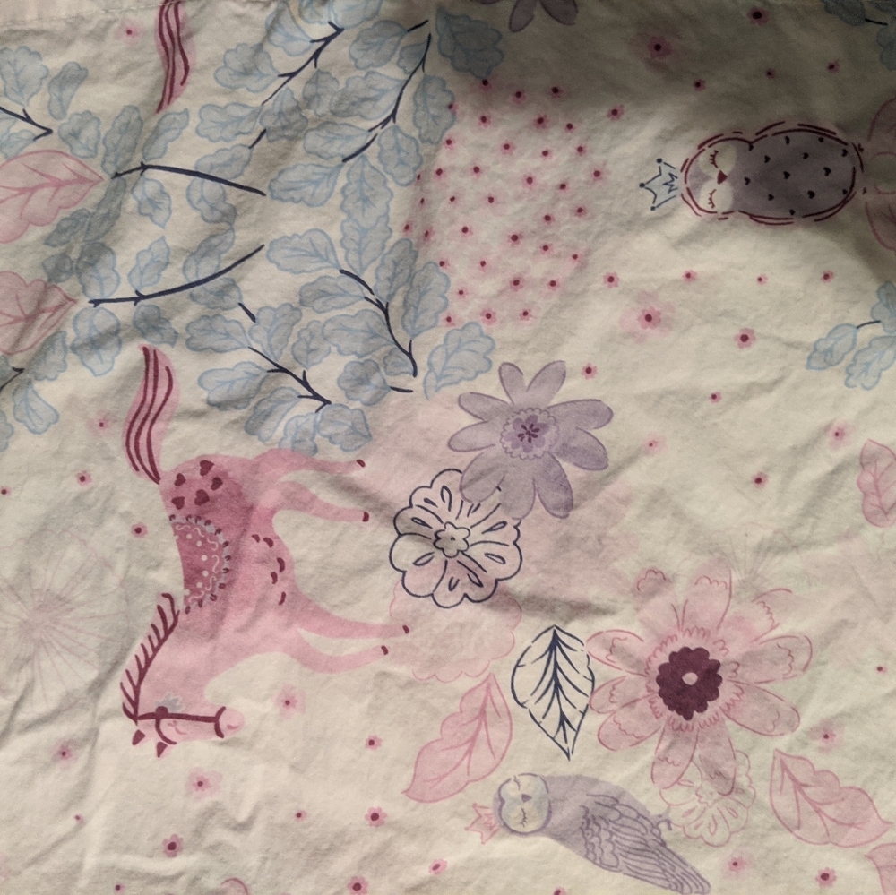 Queen size Pottery Barn Kids sheets